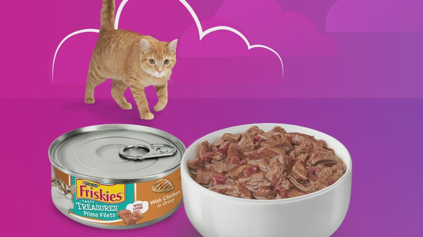 Purina Friskies Gravy Wet Cat Food Variety Pack Tasty Treasures  12 55 oz Cans